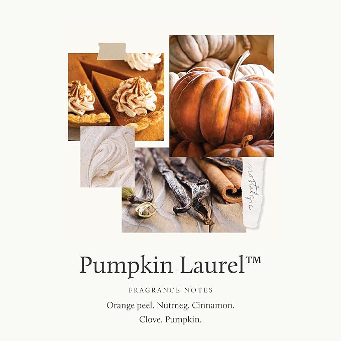 Thymes Scented Candles for Home Decor - Luxury Home Fragrance Gifts for Women & Men - Fall Candles with Creamy Pumpkin, Nutmeg, & Cinnamon - Burnt Orange Votive (Pumpkin Laurel, 2 oz)