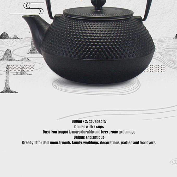 Alvinlite Cast Iron Teapot Set, Japanese Tetsubin Tea Kettle Set with Stainless Steel Infuser for Leaf Loose Tea and Blooming Flower Tea Cast Iron Tea Kettle (Black 800ml / 27oz)