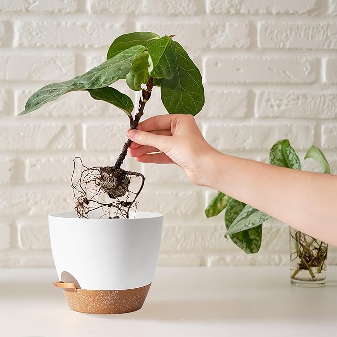 Plant Pots for Lazy People,5Pack 7/6.5/6/5.5/5 Inch, Plastic Self Watering Planter Pot for Houseplants,Succulent, African Violets,Snake Plants, Flowers and Cactus, White
