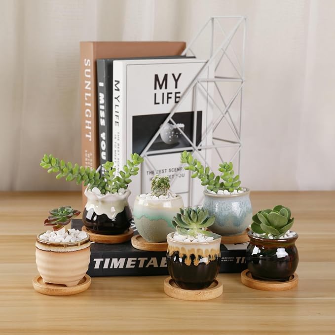 T4U Mini Ceramic Succulent Pots with Drainage - Set of 6, Tiny Pots for Plants, Home and Office Decor, Plant Lover Gifts for Women