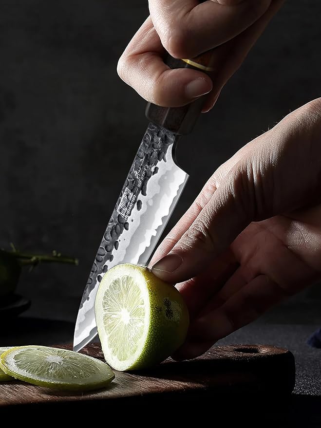 HOSHANHO Paring Knife 3.75 Inch Peeling knife, Razor Sharp Japanese High Carbon Steel Small Kitchen Knife, Hand Forged Fruit Knives for Peeling & Coring with Ergonomic Handle
