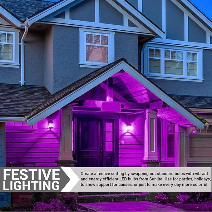Sunlite 80132-SU LED A19 Standard a Type Light Bulb, 2 Pack, Purple
