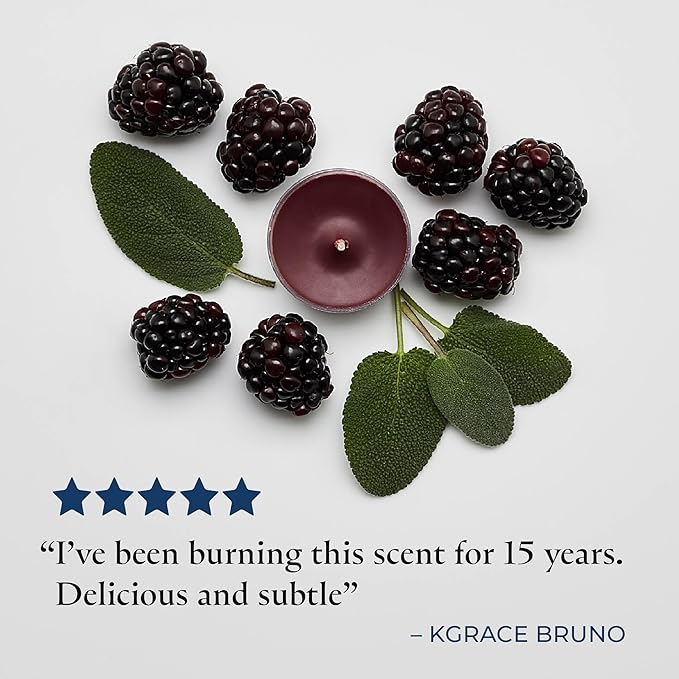 PartyLite Gift Set of 12 Universal Tea Lights, Mulberry Scented, Notes of Black Currant, Sweet BlackBerry, Juicy Mulberry & Pomegranate, 4-6 Hour Burn Time, Luxurious & Rich, Perfect for Gifting