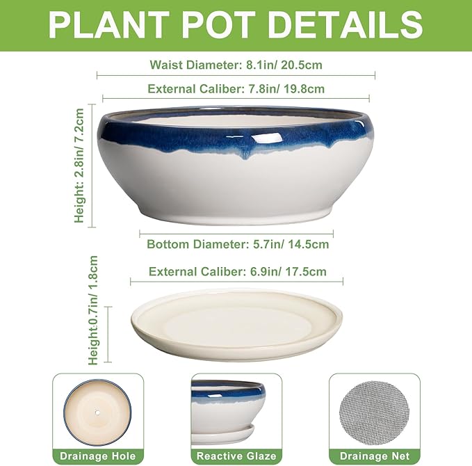 SQOWL Bonsai Pots Ceramic - 8 Inch Succulent Planters Indoor, Succulent Pot with Drainage Hole and Tray, Shallow Ceramic Plant Pot Outdoor, Round Bowl Planter, Porch Decor, Gardening Gift, Blue-Beige
