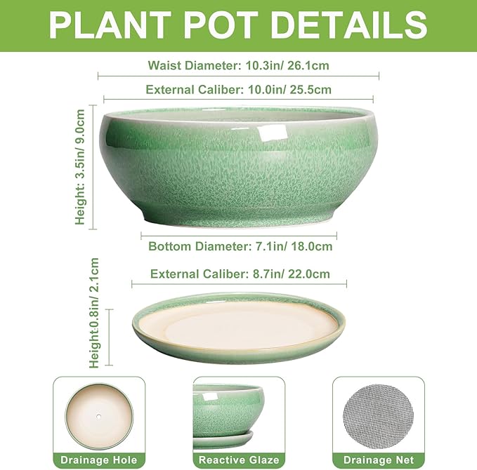SQOWL Bonsai Pots - 10 Inch Ceramic Succulent Pots with Drainage Hole and Saucer, Shallow Planter for Indoor Plants Flowers, Round Planter Bowl, Living Room Decor, Plant Lover Gifts, Green