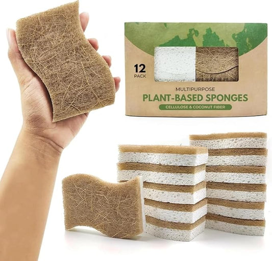 Natural Kitchen Sponge - Eco-Friendly Dish Sponges for Kitchen, Pack of 12 – Biodegradable Cellulose & Coconut Fiber Scrubbers – Sustainable Household Cleaning Sponges