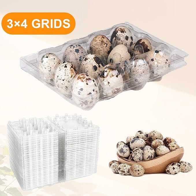 150 Pack Clear Quail Egg Carton,12 Grids Plastic Egg Cartons Bulk,Small Plastic Quail Egg Storage Holder with Lid,Stackable Quail Eggs Carton Trays for Storing Eggs of Quail, Pigeon