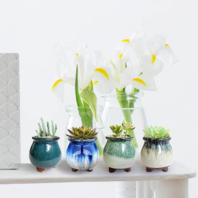 3 inch Glaze Handcraft Ceramic Pot Set, Tiny Cactus Planter with Drainage, Mini Cactus Pots Desk Shelf Decor, Cute Set of 4 Succulent Planter Pots