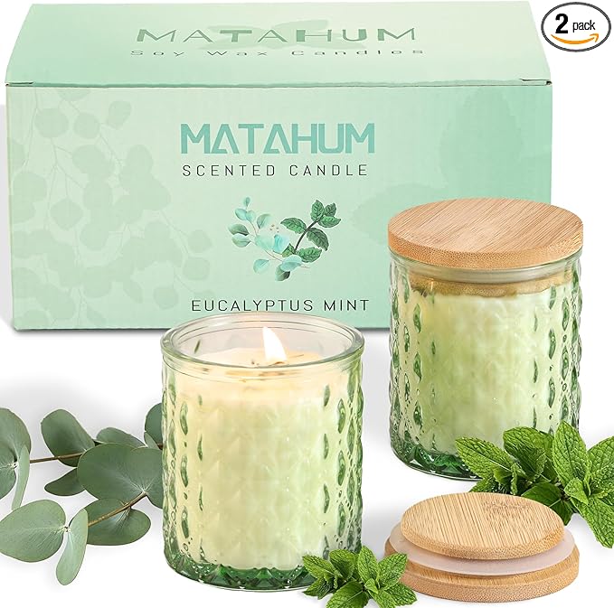 2 Pack Eucalyptus & Mint Scented Candles for Home Decor, 6.5oz Natural Soy Wax Aromatherapy Jar Candles, Housewarming Gift for Women