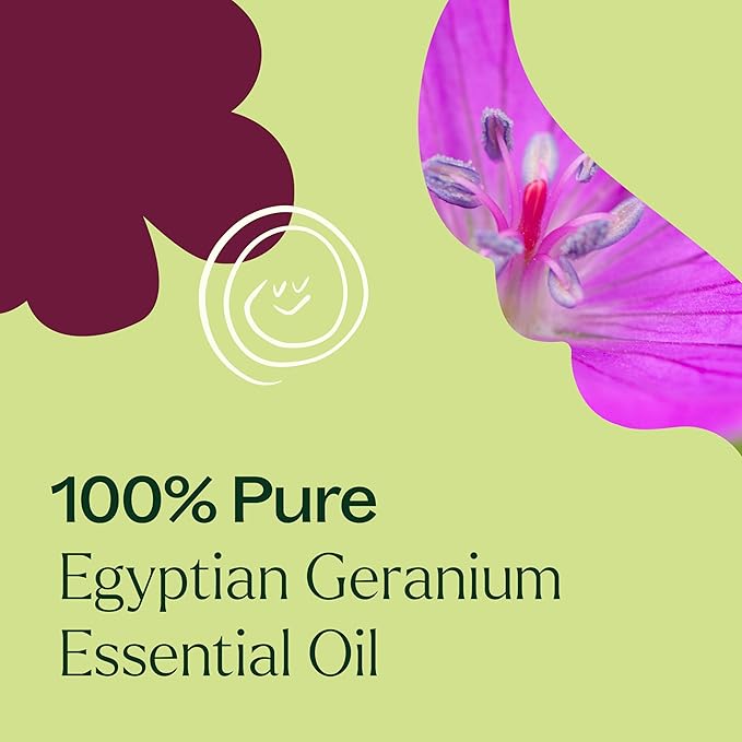Plant Therapy Egyptian Geranium Essential Oil 100% Pure, Undiluted, Natural Aromatherapy, Therapeutic Grade 30 mL (1 oz)