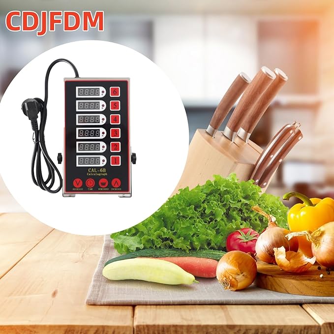 6 Channel Kitchen Timers for Cooking,Commercial Kitchen Timer Stainless Steel LED Technology Kitchen Timer Digital, Restaurant Kitchen Supplies,Reminder Function, Loud Alarm 110v