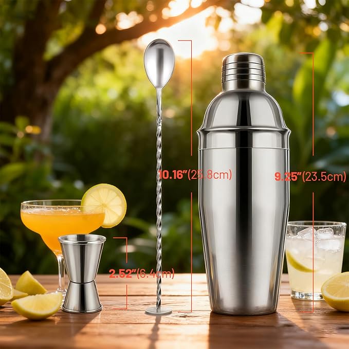 Cocktail Shaker Set, 24oz Stainless Steel Bartender Kit with Measuring Jigger & Mixing Spoon,Cocktail Recipe,Professional Martini Shaker for Home Bar, Drink Mixer Set for Beginner & Bartender Gift