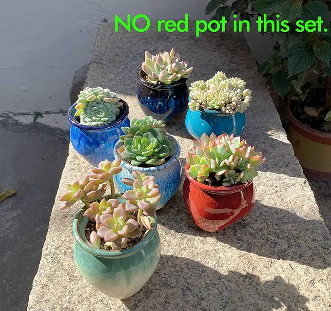 4PCS Small Ceramic Succulent Pots，Cute Glazed Handcraft Succulent Planters with Drainage Hole，3.8 inch Pots for Plants