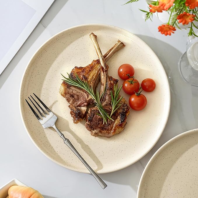 GZG Ceramic Dinner Plates Set of 4, 10.25 Inch Speckled Stoneware Plates with Clay-Tone Base, Large Ceramic Plates for Steak, Salad, Pizza, Microwave Oven Dishwasher Safe