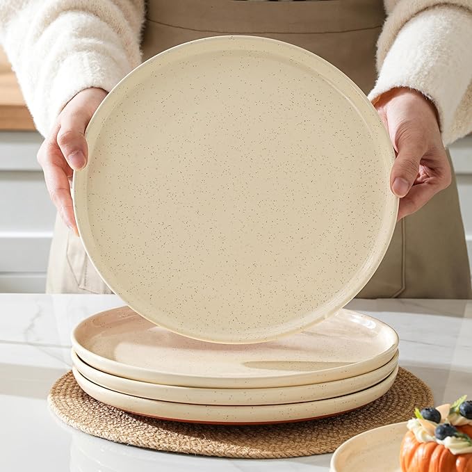 GZG Ceramic Dinner Plates Set of 4, 10.25 Inch Speckled Stoneware Plates with Clay-Tone Base, Large Ceramic Plates for Steak, Salad, Pizza, Microwave Oven Dishwasher Safe