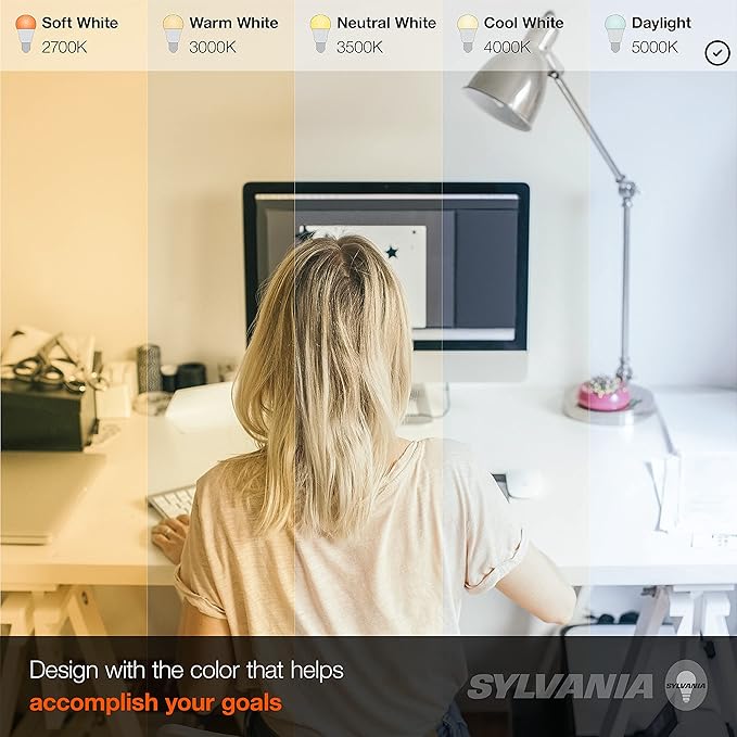 LEDVANCE Sylvania ECO LED A19 Light Bulb, 60W Equivalent, Efficient 9W, 7 Year, 750 Lumens, Non-Dimmable, Frosted, 5000K Daylight - 24 Pack (40987)