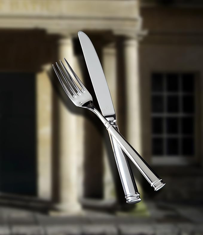 Fortessa Bistro 18/10 Stainless Steel Flatware Solid Handle Table Knife, Set of 12, Silver