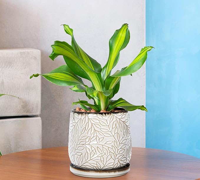 D'vine Dev 5 Inch Embossed Leaves Stoneware Planter Pot with Drainage Hole and Saucer, Smoked White, Set of 2, 27-F-V-1
