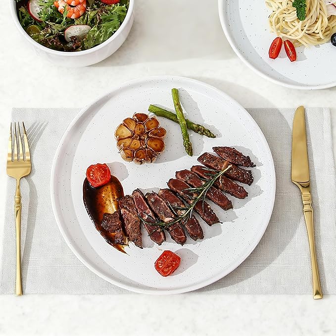 GZG Ceramic Dinner Plates Set of 4, 10.25 Inch Speckled Stoneware Plates with Clay-Tone Base, Large Ceramic Plates for Steak, Salad, Pizza, Microwave Oven Dishwasher Safe