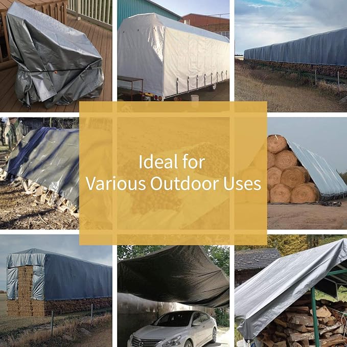 GUARD SHIELD Heavy Duty Tarp 20x30 Feet Silver Multi Purpose Thick Waterproof Poly Tarp Cover 10mil