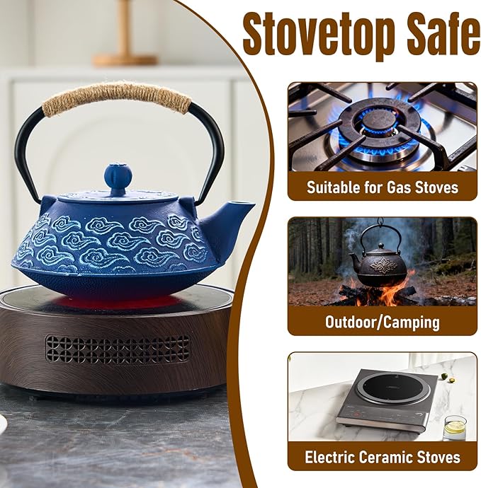 PARACITY Cast Iron Teapot Japanese 800ml/27oz, Tea Kettle Pot for Stove Top, Tea Pot with Stainless Steel Infusers for Loose Tea, Boiling Hot Water Tea, Mothers Day Gifts from Daughter/Son