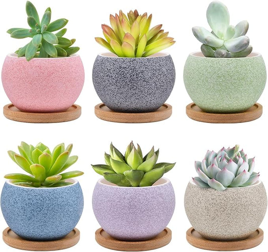 6 Pack Ceramic Succulent Pots with Drainage – Small Round Planters for Indoor Plants & Cactus, Mini Flower Pots with Bamboo Trays, Desk & Home Décor, Gift for Plant Lovers, Office, Balcony, Garden