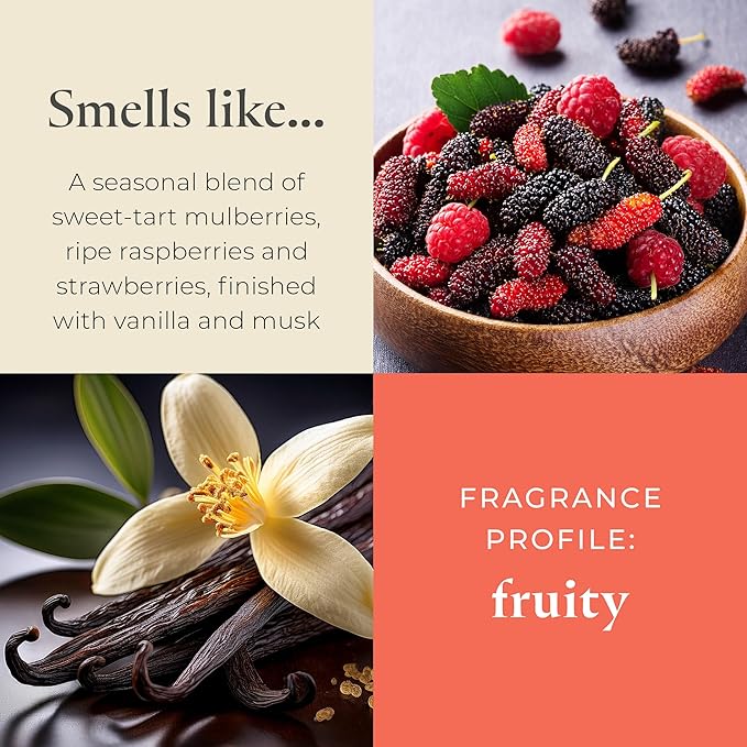 PartyLite Gift Set of 12 Universal Tea Lights, Mulberry Scented, Notes of Black Currant, Sweet BlackBerry, Juicy Mulberry & Pomegranate, 4-6 Hour Burn Time, Luxurious & Rich, Perfect for Gifting