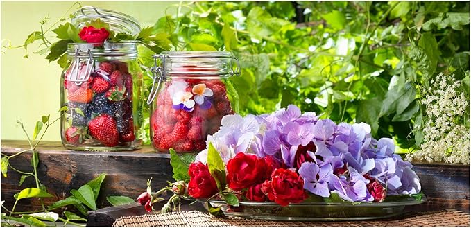 Bormioli Rocco Fido Hermetic 5-Piece Jar Set