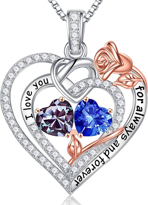 Iefil Christmas Gifts for Wife Women - 925 Sterling Silver Double Birthstone Necklace, Anniversary Birthday Gifts for Women, Jewelry Gift for Wife Girlfriend Mom Her