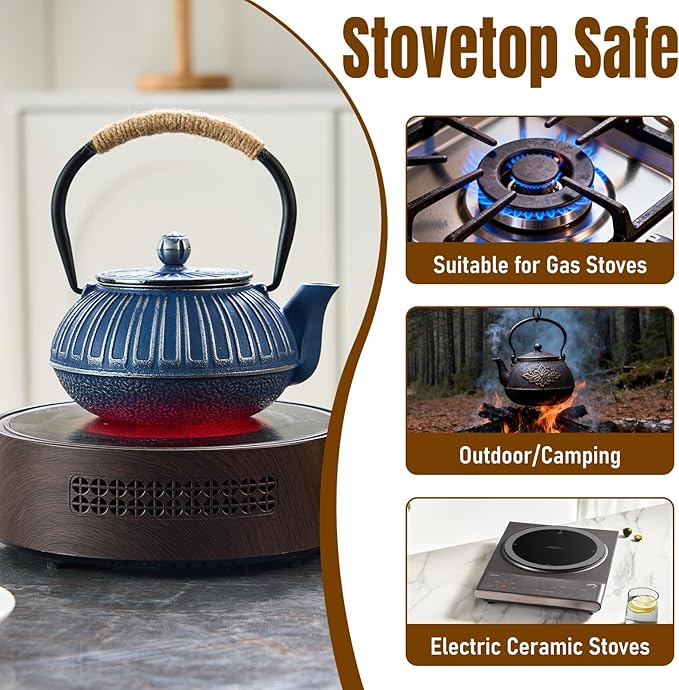PARACITY Cast Iron Teapot Japanese 800ml/27oz, Tea Kettle Pot for Stove Top, Tea Pot with Stainless Steel Infusers for Loose Tea, Boiling Hot Water Tea, Mothers Day Gifts from Daughter/Son