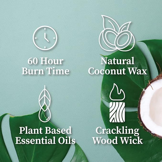 Hemlock Park Crackling Wood Wick Candle Handcrafted with Natural Coconut Wax (Standard 8 oz, Golden Hour)