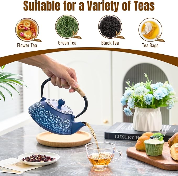 PARACITY Cast Iron Teapot Japanese 800ml/27oz, Tea Kettle Pot for Stove Top, Tea Pot with Stainless Steel Infusers for Loose Tea, Boiling Hot Water Tea, Mothers Day Gifts from Daughter/Son