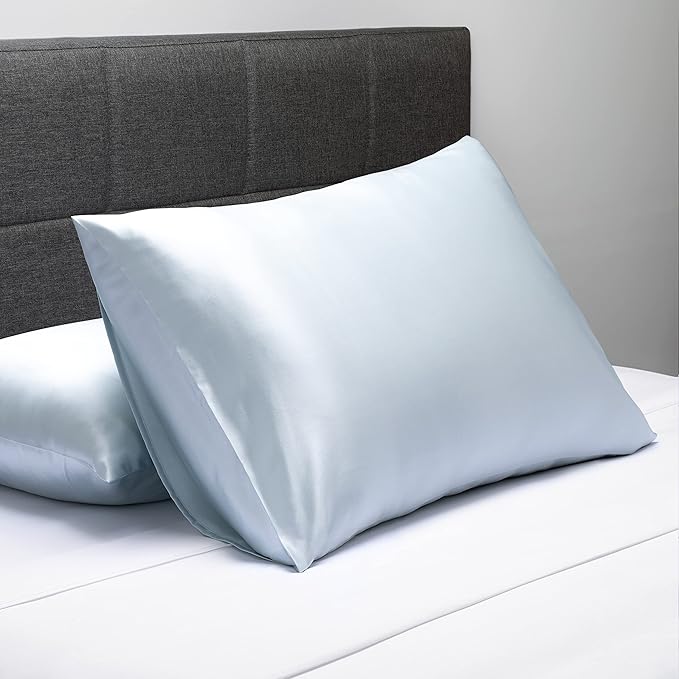 Fishers Finery 30mm 100% Pure Mulberry Silk Pillowcase Set, Quality Tested (Blue, King, 2 Pack Set)