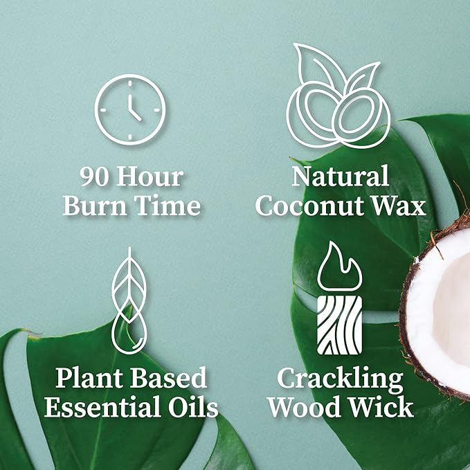 Hemlock Park Crackling Wood Wick Candle Handcrafted with Natural Coconut Wax (Large 16 oz, Blood Orange Sage)