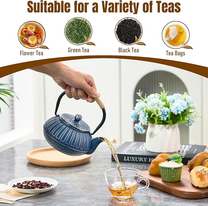 PARACITY Cast Iron Teapot Japanese 800ml/27oz, Tea Kettle Pot for Stove Top, Tea Pot with Stainless Steel Infusers for Loose Tea, Boiling Hot Water Tea, Mothers Day Gifts from Daughter/Son