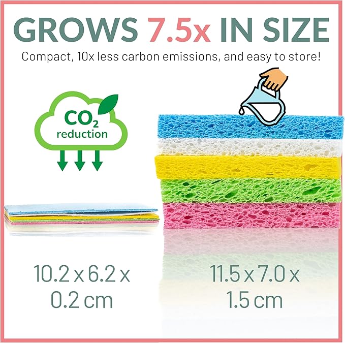 bioGo 30 Pack Compostable Pop-Up Sponges - Expanding, Non-Scratch, Plant-Based Dish - Bulk Color - Pop Up Sponge - Kitchen