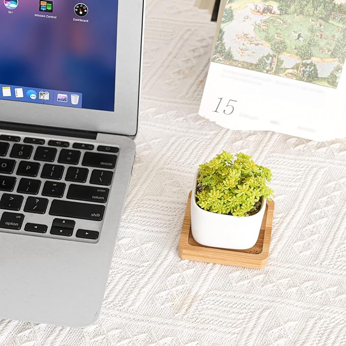 T4U 2 Inch Mini White Square Succulent Pots with Bamboo Trays, Mini Ceramic Planters for Tiny Cactus, Air Plants, Faux Plants – Gift for Plant Lovers, Desk & Home Decor (12 Pack)