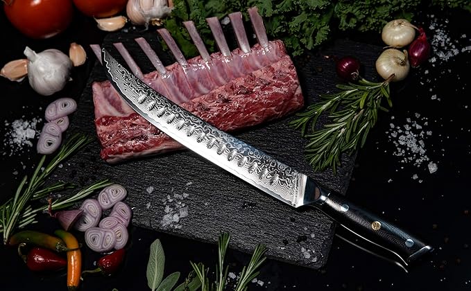 Oxford CHEF Curved Slicer (Butcher) Knife 10 Inch - Damascus Japanese VG10 Super Steel 67 Layer High Carbon Stainless Steel