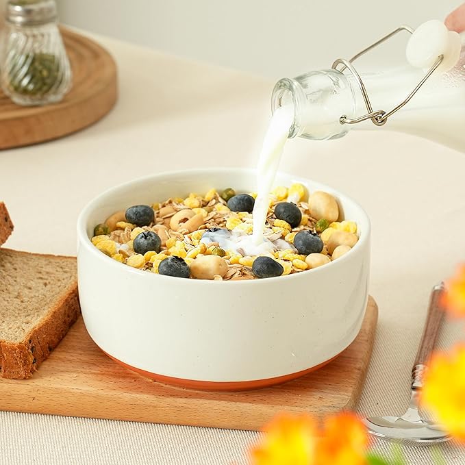 Stoneware Cereal and Soup Bowls Set of 4, 6-Inch Dual Glaze Ceramic Bowls for Breakfast & Oatmeal, Microwave and Dishwasher Safe, Stardust Glaze White