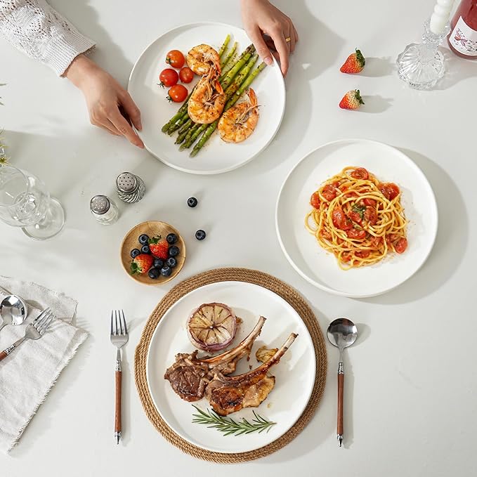 6 Piece Ceramic Dinnerware Set for 2, Modern Minimalist Stoneware Dinner Plates and Bowls, Microwave Safe, Dishwasher Safe, Versatile for All Seasons, Matte White