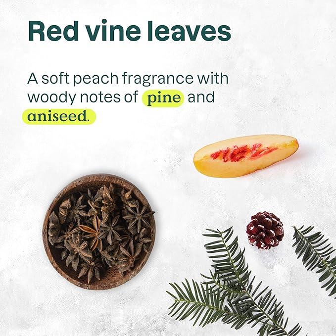ATTITUDE Plastic-Free Deodorant, EWG Verified, Aluminum Free, Vegan Naturally Sourced Body Deodorants for Women & Men, Dermatologically Tested, Vine Leaves and Pomegranate, 3 Ounces (Pack of 6)