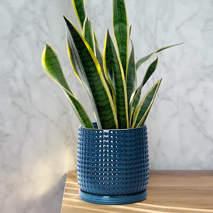 D'vine Dev Set of 2 Ceramic Plants Pots, 6 Inch Beaded Stoneware Flower Pot for Plants with Drainage Hole and Saucer, Midnight Blue, 27-E-X-3