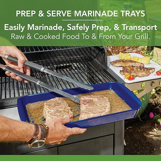 Tovolo Steak Marinating Container with Lid Large Grill Marinade and Prep Tray Set for Meat Veggies Burgers, Dishwasher Safe BBQ Marinating Tray with Cover for Thawing Prepping or Serving 17x10.5 in
