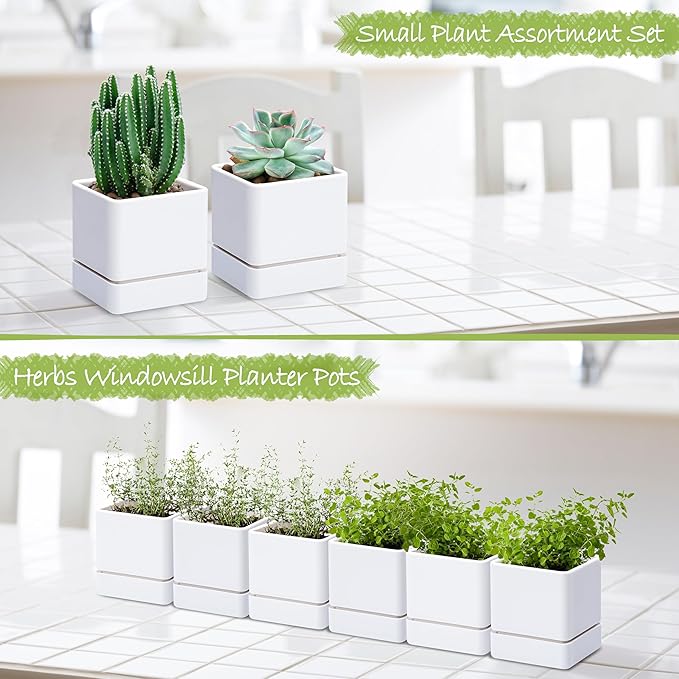 D'vine Dev 4 Inch Herb Planter Pot, Plastic Planter with Drainage Holes and Saucer, Modern Decorative Gardening Pot for Indoor Plants, Flowers, Herbs, Succulents, White, Set of 6, 76-Y-A6-1