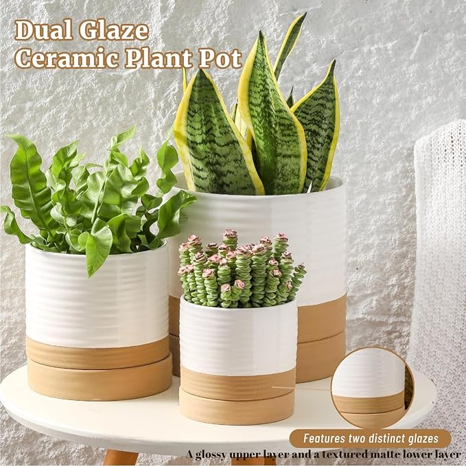 HASENSE Plant Pots, 8+6+4.6 Inch Ceramic Pots for Plants with Drainage Hole and Saucer, White Flower Planters Set of 3, Ideal for Gardening Home Desktop Office Decor