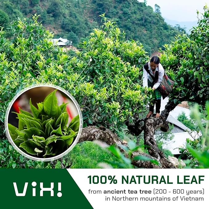 VIXI Black Tea Loose Leaf, (16.00 Oz), Vietnam's Mountain Tea, Bold Flavored, Taste Like Assam, Dried Whole Full Large Leaves, Sugar Free, 100% Natural from Ancient Tea Tree (Pack of 2)