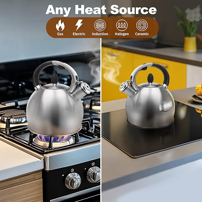 Stainless Steel Tea Kettle, Tea Kettles Stovetop, Vintage Whistling Teapot for Stove, Durable and Rust-Resistant, with a Pot Holder Included, 2.64 Quart (Brushed)