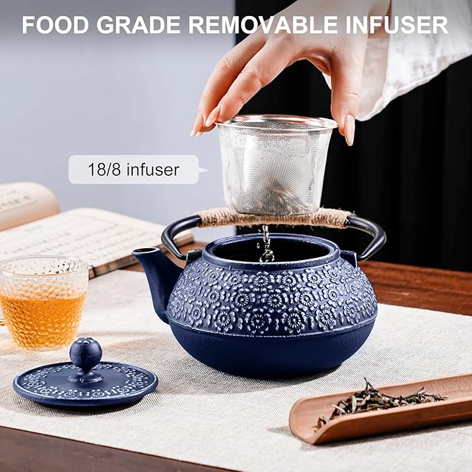 PARACITY Cast Iron Teapot Japanese 30.5 OZ, Tea Kettle Pot for Stove Top, Tea Pot with Stainless Steel Infusers for Loose Tea, Boiling Hot Water Tea, Mothers Day Gifts from Daughter/Son (Blue)
