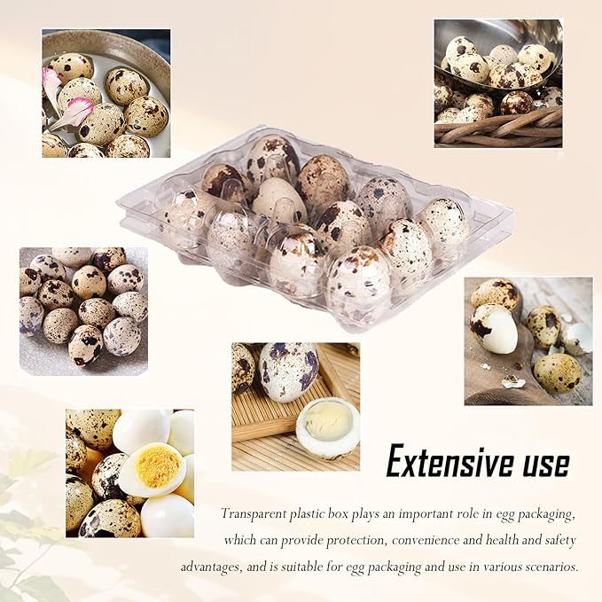 150 Pack Clear Quail Egg Carton,12 Grids Plastic Egg Cartons Bulk,Small Plastic Quail Egg Storage Holder with Lid,Stackable Quail Eggs Carton Trays for Storing Eggs of Quail, Pigeon