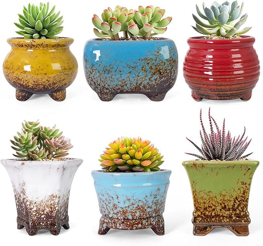 ARTKETTY Succulent Pots - Small Succulent Plant Pot with Drainage Set of 6, Ceramic Cactus Planter Pots for Indoor Unique Flower Planter Container for Home Office Decor